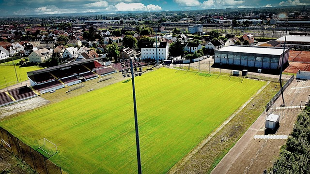 不仅稳固了 不仅稳固了