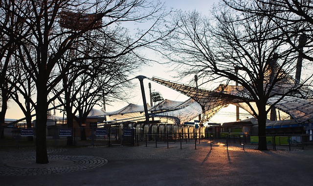 国内冰雪运 国内冰雪运