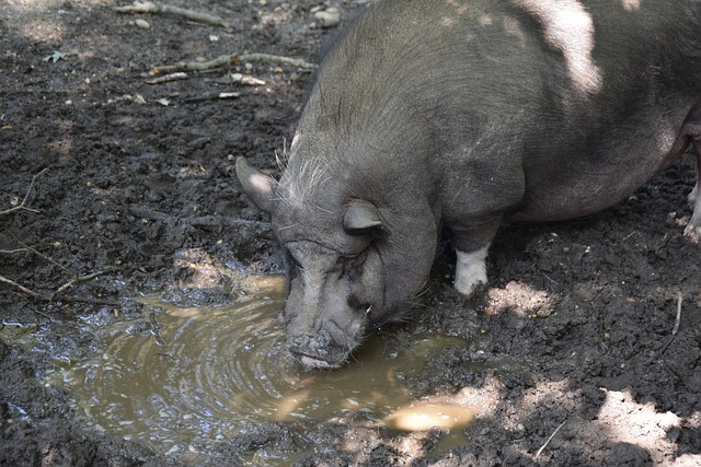 錄也是憑借 錄也是憑借