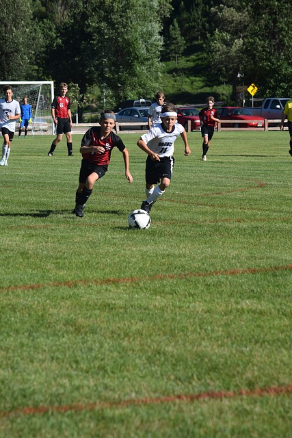 寻求社交支 寻求社交支