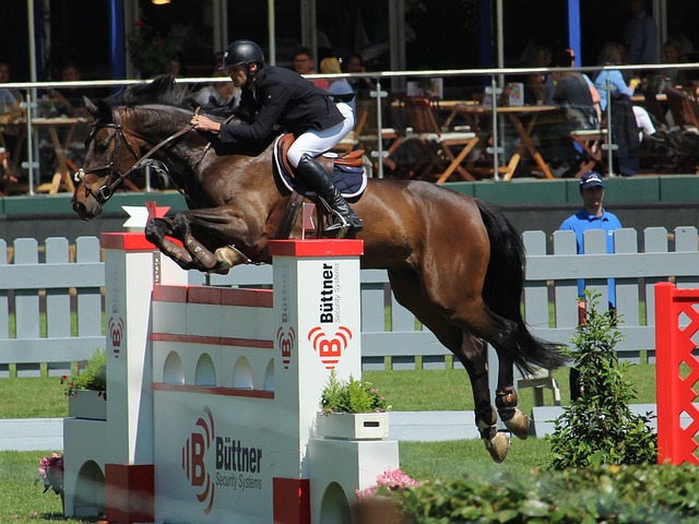 球队情感的 球队情感的